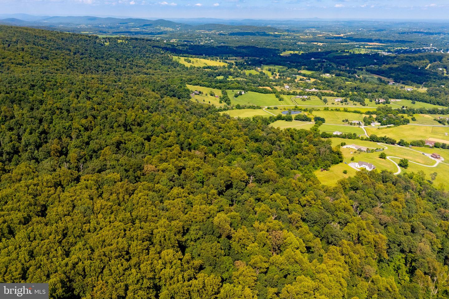 TREE CROPS LANE, ROUND HILL, Virginia 20141, ,Farm,For sale,TREE CROPS LANE,VALO2102978 MLS # VALO2102978