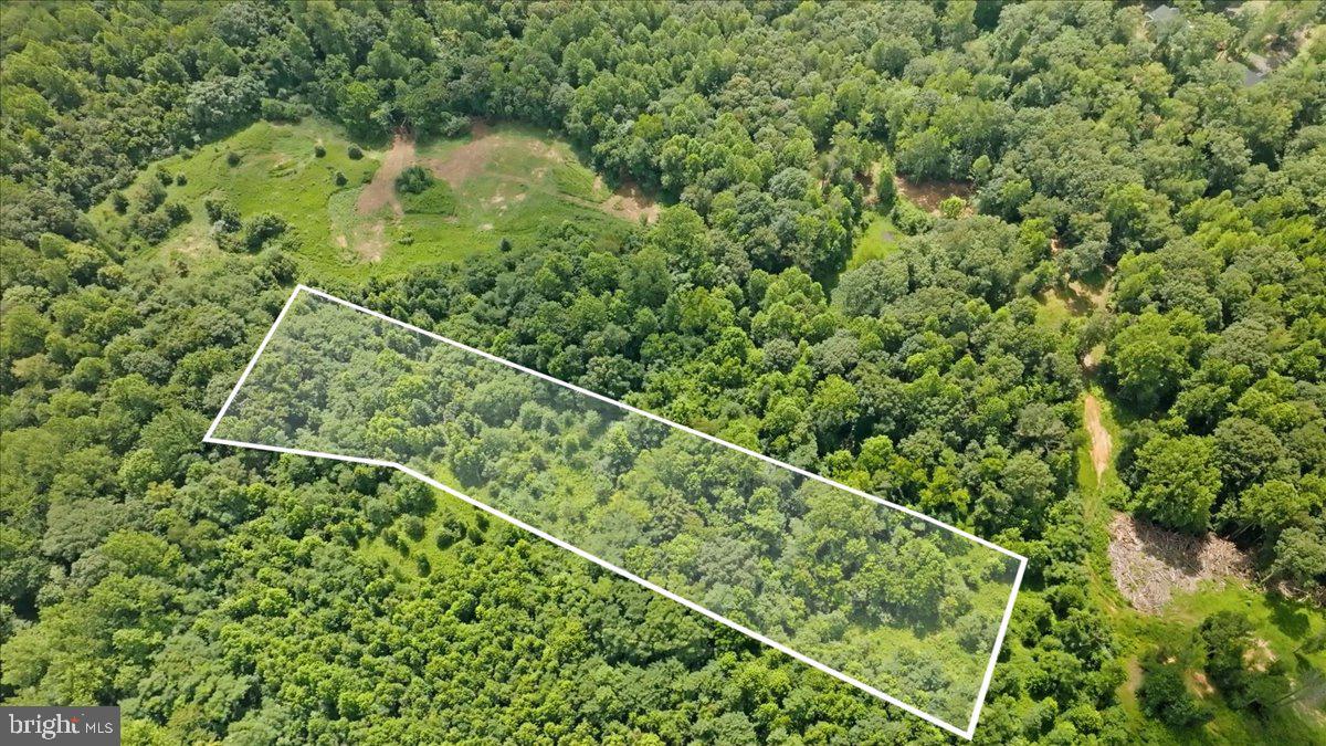 LOT G JONES PL, SHILOH, Virginia 22485, ,Land,For sale,LOT G JONES PL,VAKG2006746 MLS # VAKG2006746