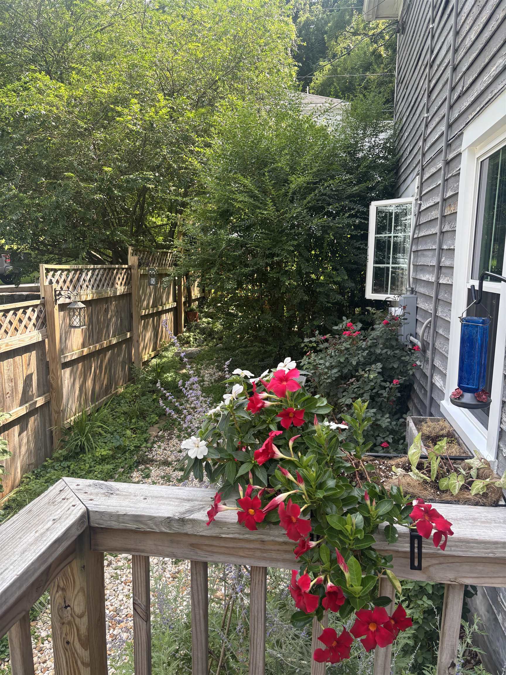 949 ANDERSON ST, STAUNTON, Virginia 24401, 2 Bedrooms Bedrooms, ,1 BathroomBathrooms,Residential,949 ANDERSON ST,667054 MLS # 667054