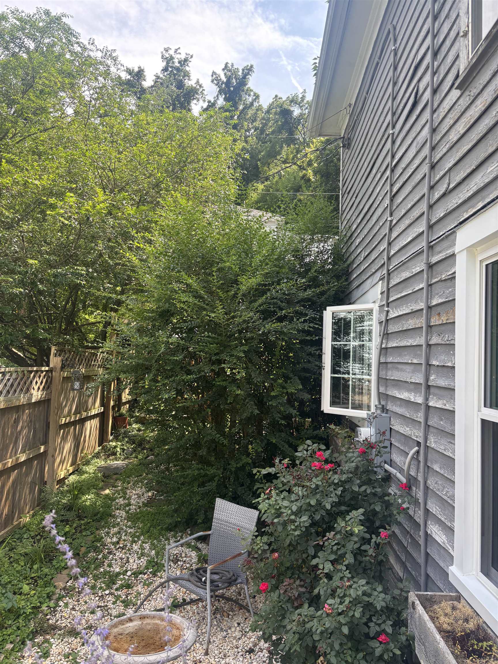 949 ANDERSON ST, STAUNTON, Virginia 24401, 2 Bedrooms Bedrooms, ,1 BathroomBathrooms,Residential,949 ANDERSON ST,667054 MLS # 667054