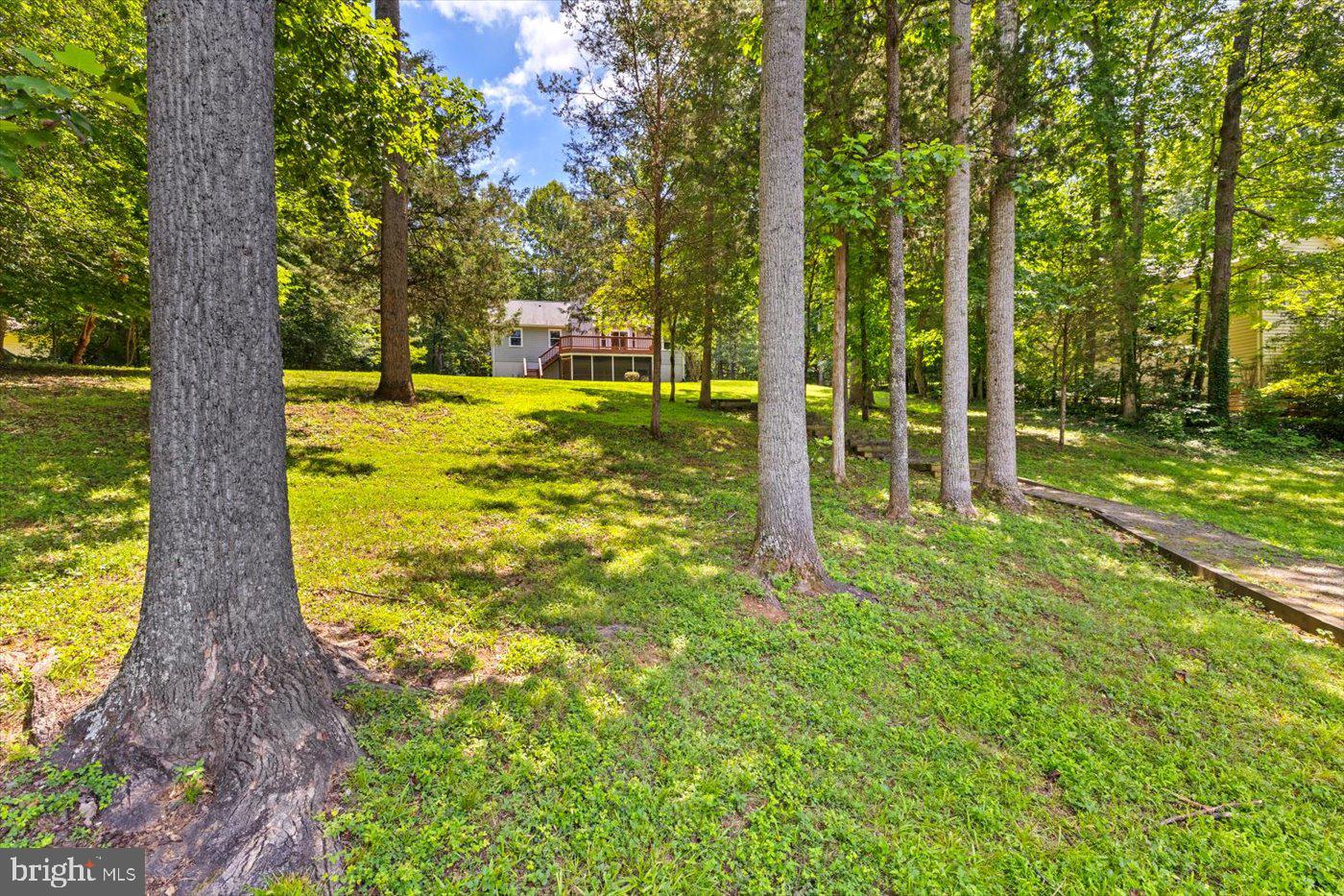 12803 LAKE WILDERNESS LN, SPOTSYLVANIA, Virginia 22551, 3 Bedrooms Bedrooms, ,2 BathroomsBathrooms,Residential,For sale,12803 LAKE WILDERNESS LN,VASP2034680 MLS # VASP2034680
