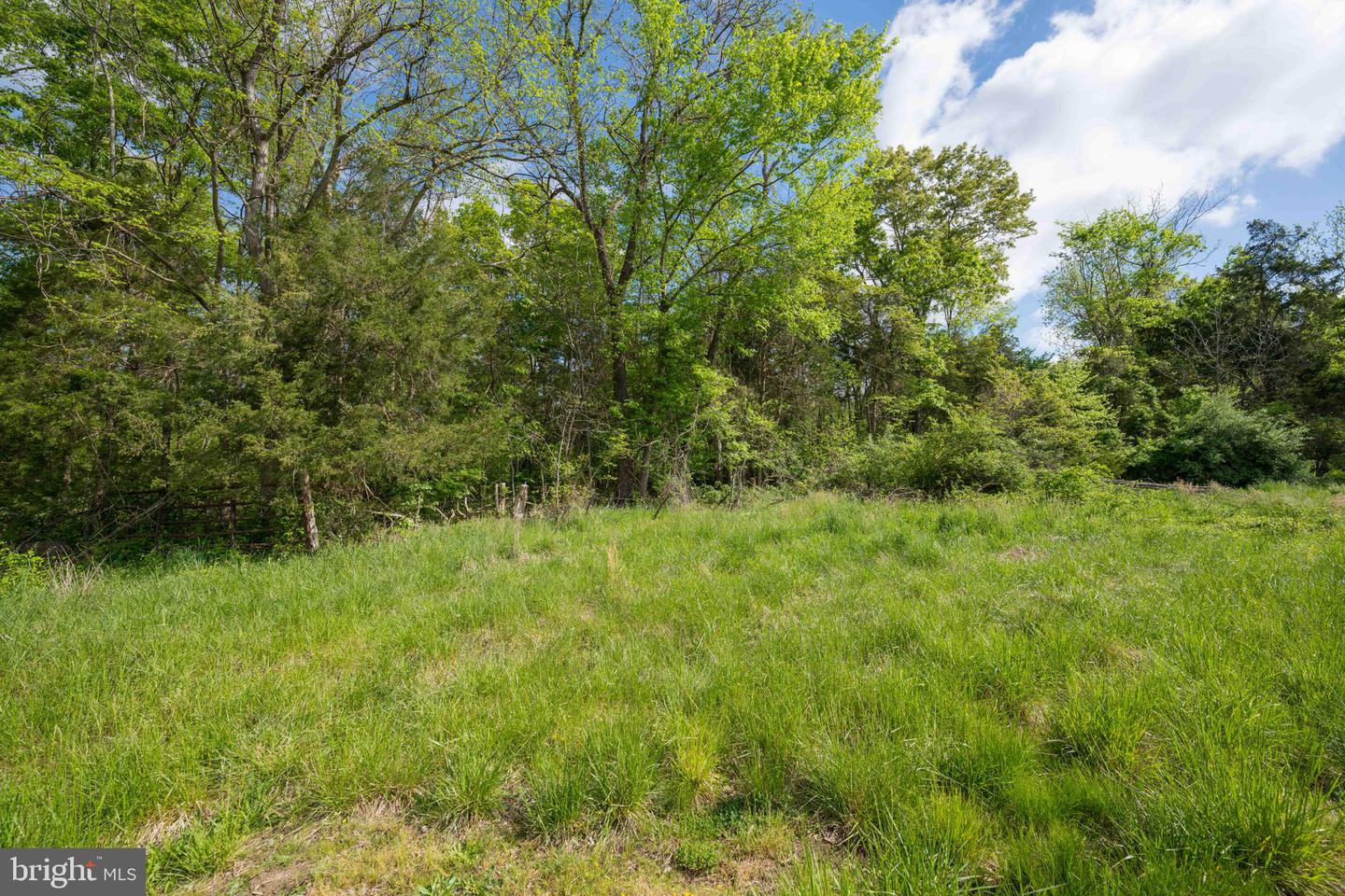 PINEY RIDGE ROAD, REMINGTON, Virginia 22734, ,Land,For sale,PINEY RIDGE ROAD,VAFQ2017576 MLS # VAFQ2017576