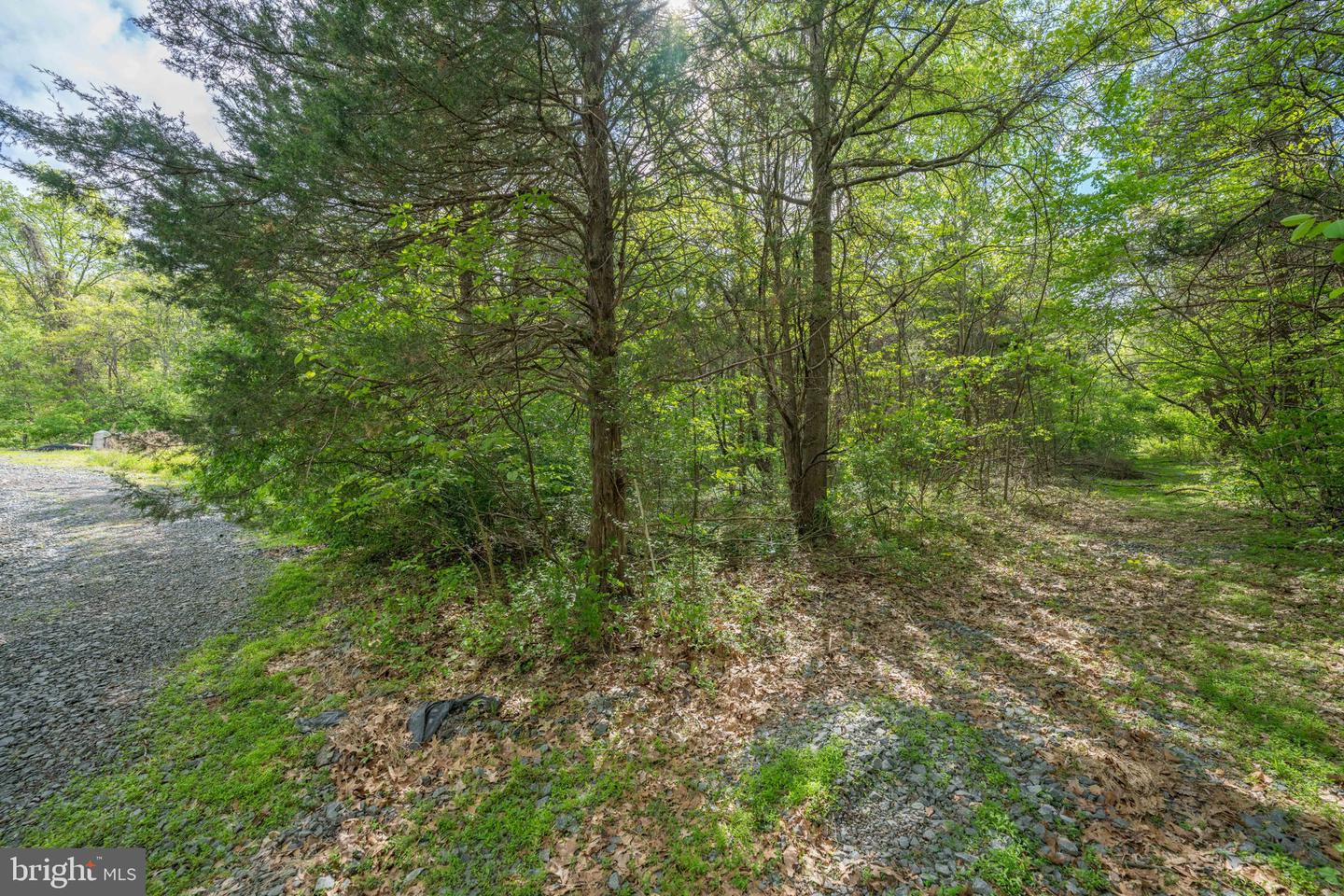PINEY RIDGE ROAD, REMINGTON, Virginia 22734, ,Land,For sale,PINEY RIDGE ROAD,VAFQ2017576 MLS # VAFQ2017576