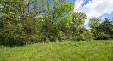 PINEY RIDGE ROAD, REMINGTON, Virginia 22734, ,Land,For sale,PINEY RIDGE ROAD,VAFQ2017576 MLS # VAFQ2017576
