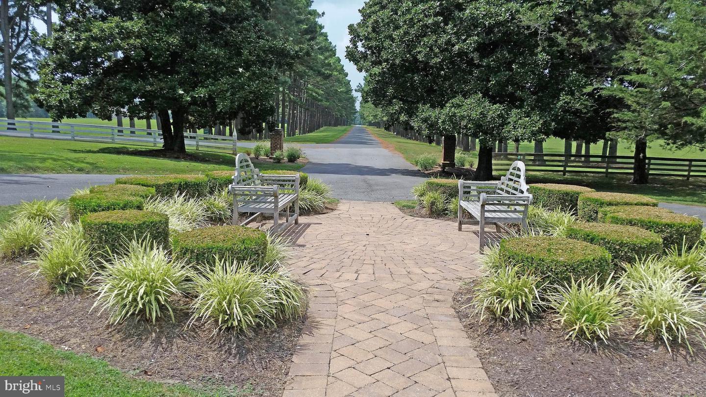 LOT 65 INDIGO LN, HORNTOWN, Virginia 23395, ,Land,For sale,LOT 65 INDIGO LN,VAAC2002088 MLS # VAAC2002088