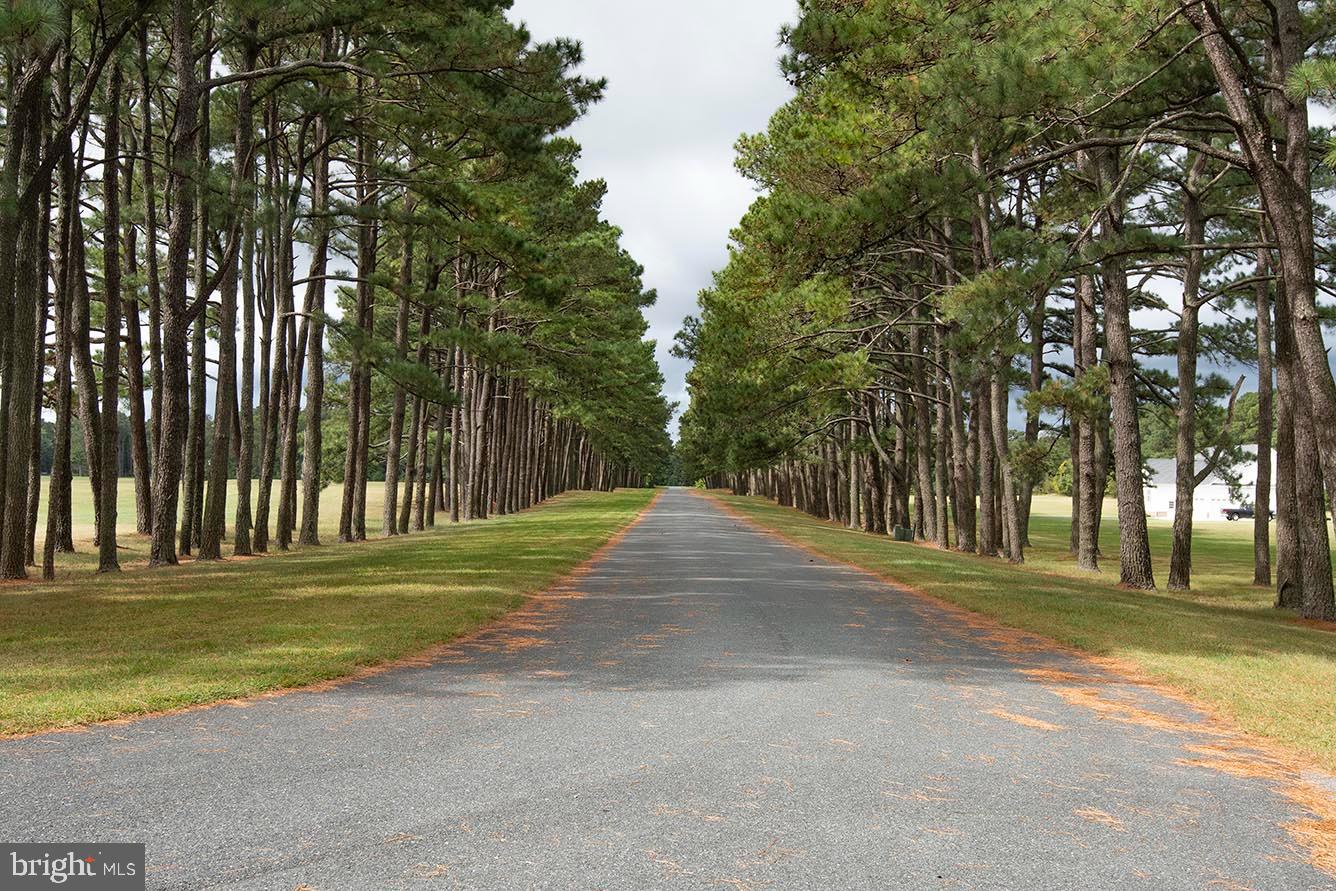 LOT 65 INDIGO LN, HORNTOWN, Virginia 23395, ,Land,For sale,LOT 65 INDIGO LN,VAAC2002088 MLS # VAAC2002088