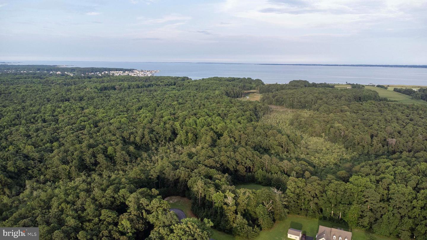 LOT 65 INDIGO LN, HORNTOWN, Virginia 23395, ,Land,For sale,LOT 65 INDIGO LN,VAAC2002088 MLS # VAAC2002088