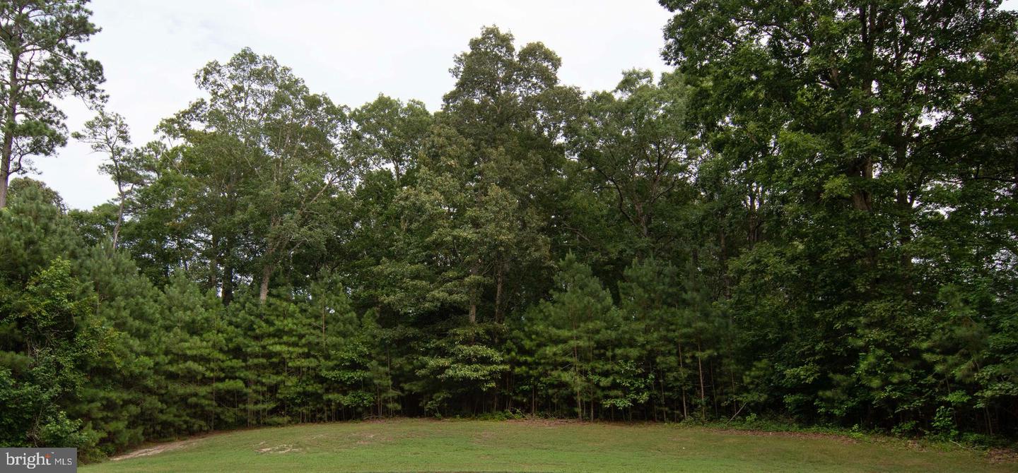 LOT 65 INDIGO LN, HORNTOWN, Virginia 23395, ,Land,For sale,LOT 65 INDIGO LN,VAAC2002088 MLS # VAAC2002088