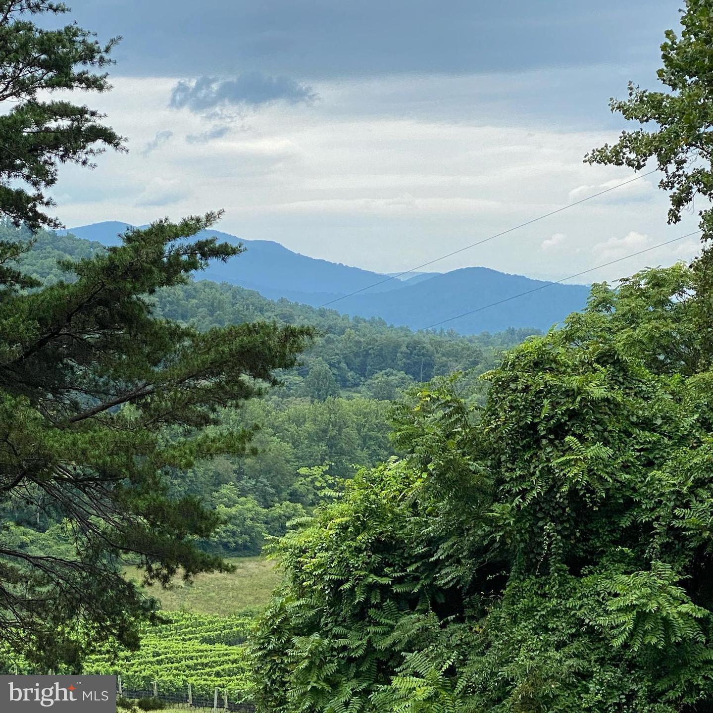 2188 WHIPPOORWILL RD, MADISON, Virginia 22727, 1 Bedroom Bedrooms, ,1 BathroomBathrooms,Residential,For sale,2188 WHIPPOORWILL RD,VAMA2002330 MLS # VAMA2002330