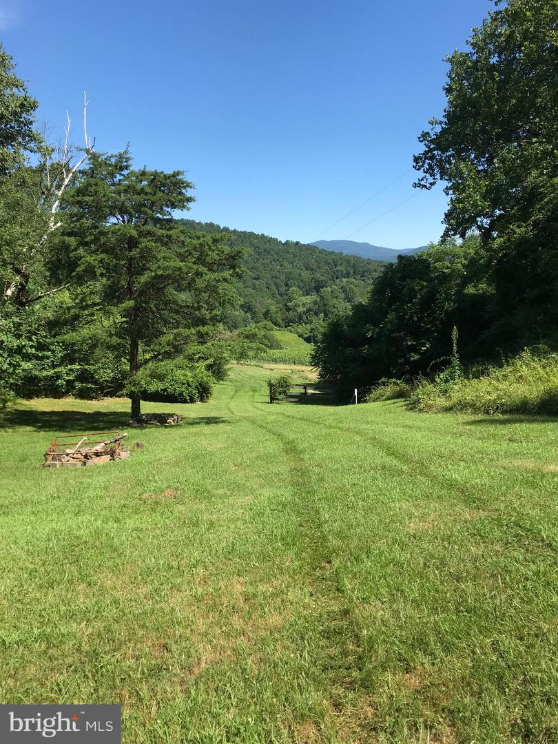 2188 WHIPPOORWILL RD, MADISON, Virginia 22727, 1 Bedroom Bedrooms, ,1 BathroomBathrooms,Residential,For sale,2188 WHIPPOORWILL RD,VAMA2002330 MLS # VAMA2002330