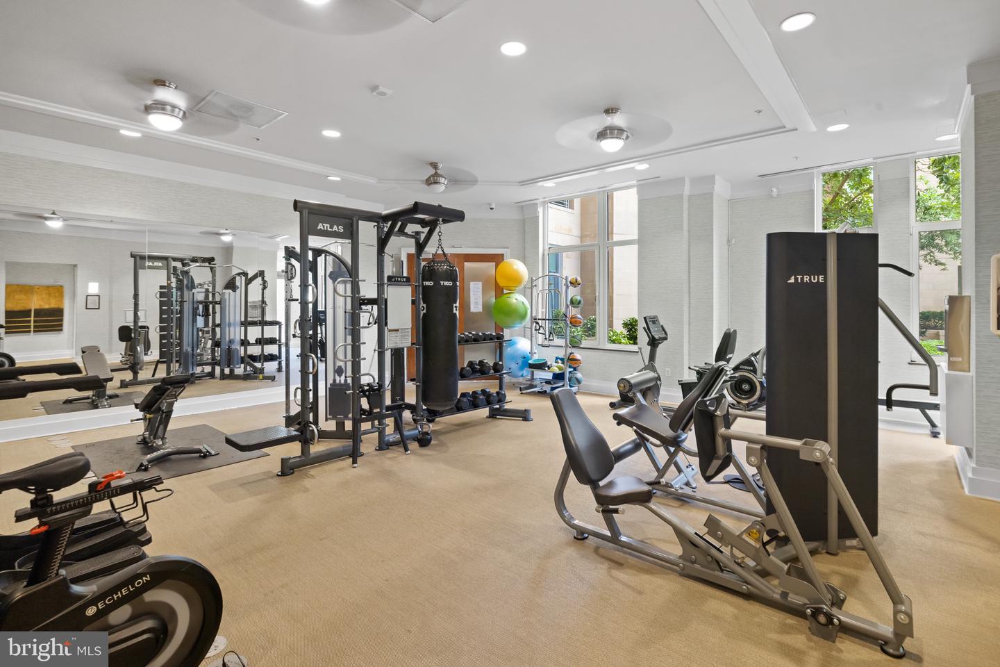 8220 CRESTWOOD HEIGHTS DR #213, MCLEAN, Virginia 22102, 1 Bedroom Bedrooms, ,1 BathroomBathrooms,Residential,For sale,8220 CRESTWOOD HEIGHTS DR #213,VAFX2256032 MLS # VAFX2256032