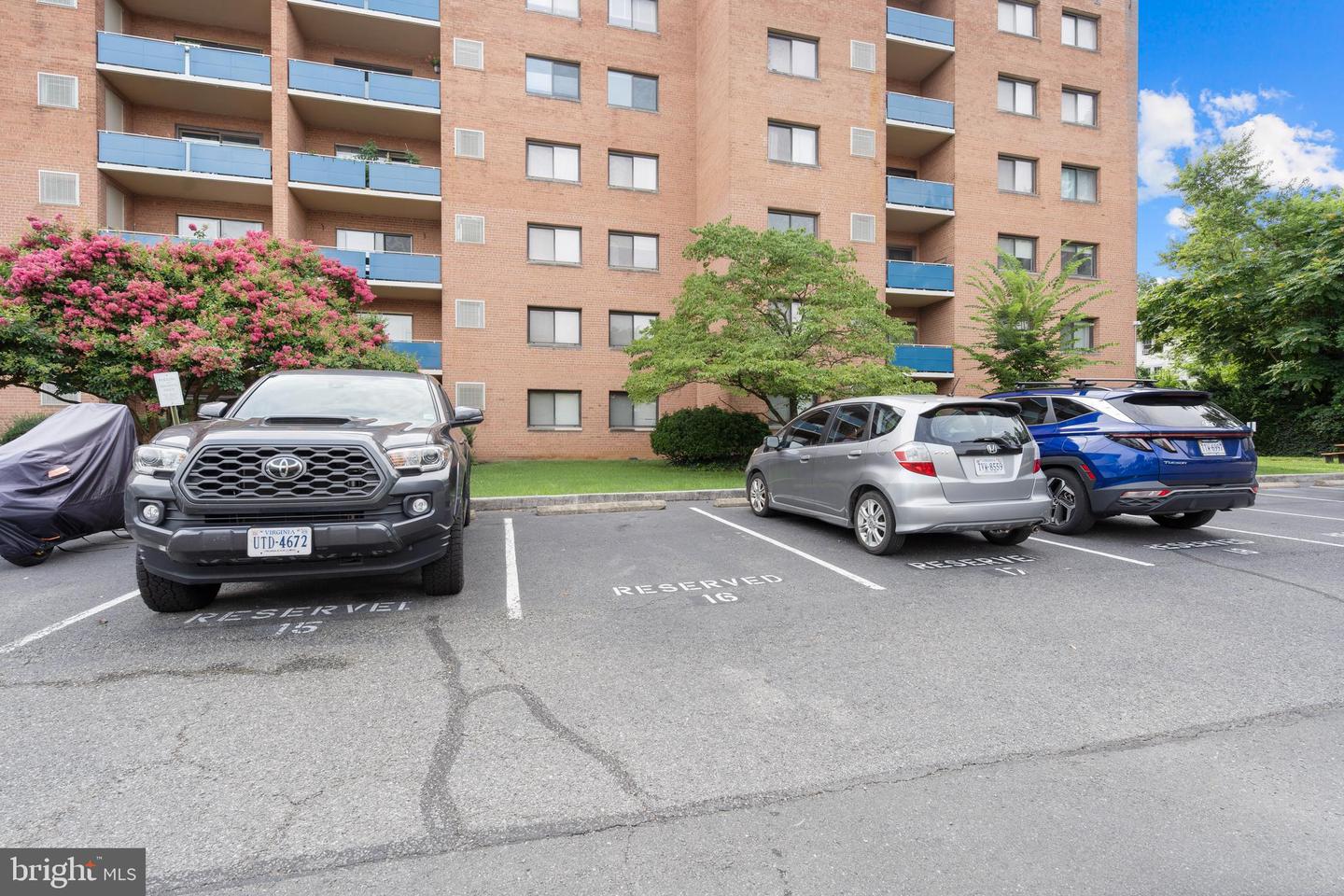 1931 N CLEVELAND ST #207, ARLINGTON, Virginia 22201, 2 Bedrooms Bedrooms, ,1 BathroomBathrooms,Residential,For sale,1931 N CLEVELAND ST #207,VAAR2060888 MLS # VAAR2060888 1931 N CLEVELAND ST #207, ARLINGTON, Virginia 22201, 2 Bedrooms Bedrooms, ,1 BathroomBathrooms,Residential,For sale,1931 N CLEVELAND ST #207,VAAR2060888 MLS # VAAR2060888