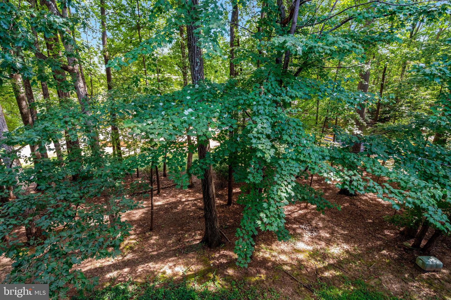 5942 COVE LANDING RD #303, BURKE, Virginia 22015, 2 Bedrooms Bedrooms, ,2 BathroomsBathrooms,Residential,For sale,5942 COVE LANDING RD #303,VAFX2256588 MLS # VAFX2256588