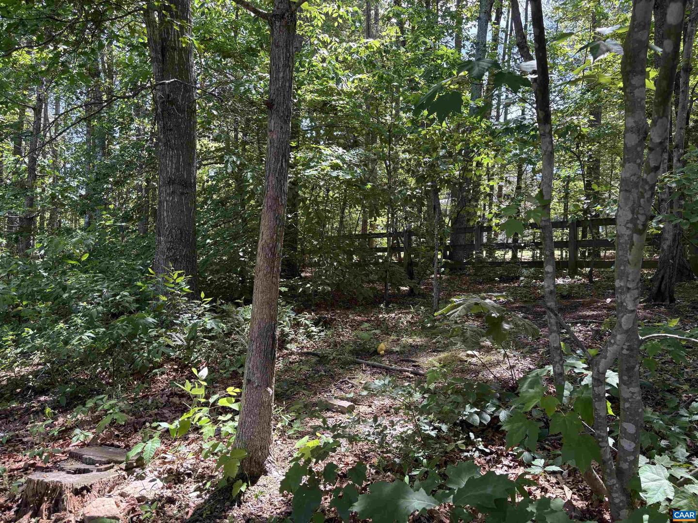 222 WHITE CEDAR RD, BARBOURSVILLE, Virginia 22923, 3 Bedrooms Bedrooms, ,3 BathroomsBathrooms,Residential,For sale,222 WHITE CEDAR RD,667043 MLS # 667043