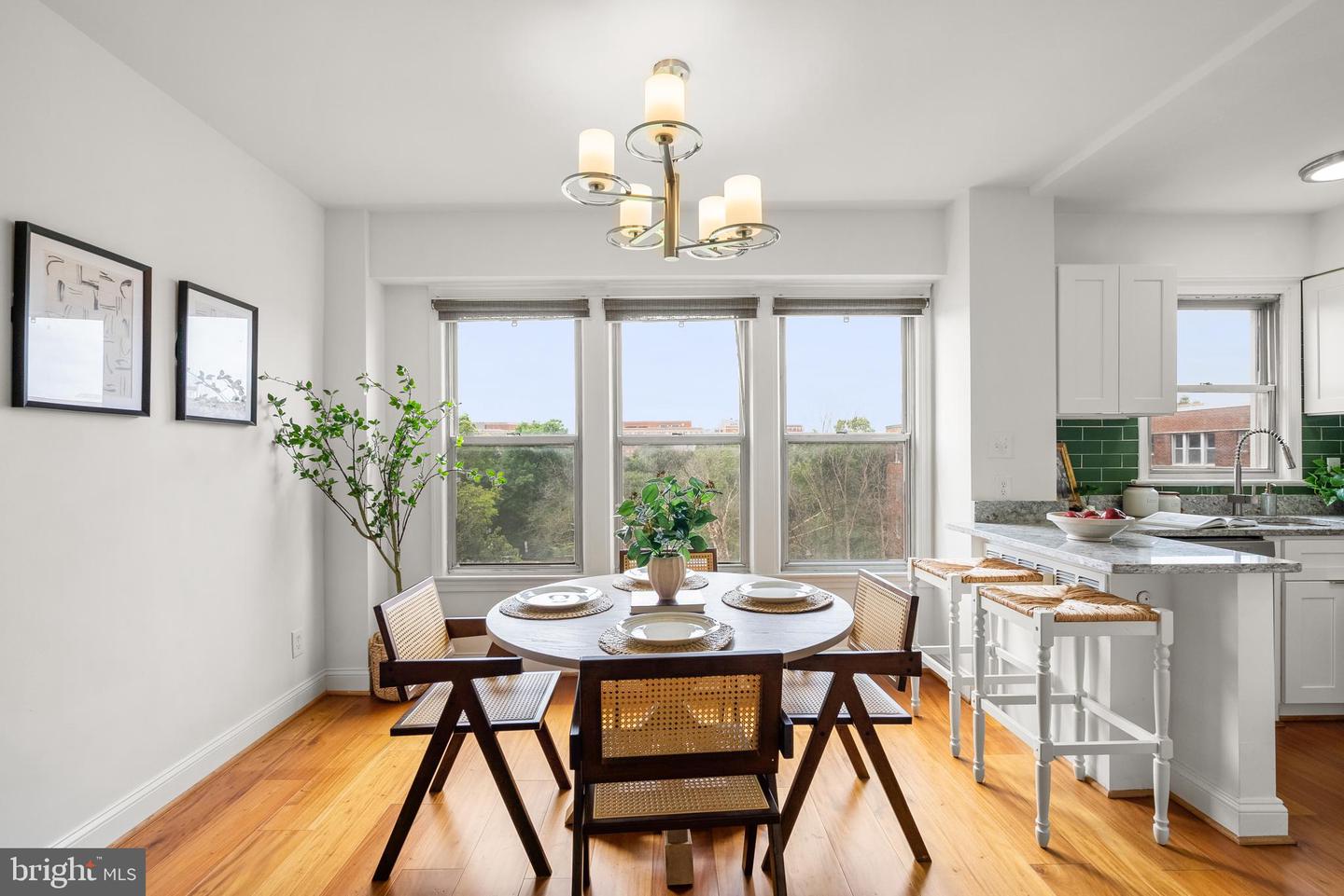 2500 Q ST NW #524, WASHINGTON, District Of Columbia 20007, 1 Bedroom Bedrooms, ,1 BathroomBathrooms,Residential,For sale,2500 Q ST NW #524,DCDC2211586 MLS # DCDC2211586