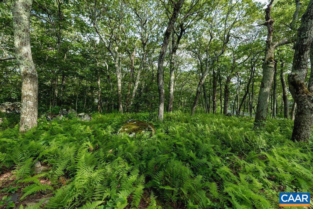 58 SUMMIT LN, WINTERGREEN RESORT, Virginia 22967, 5 Bedrooms Bedrooms, ,4 BathroomsBathrooms,Residential,For sale,58 SUMMIT LN,667052 MLS # 667052
