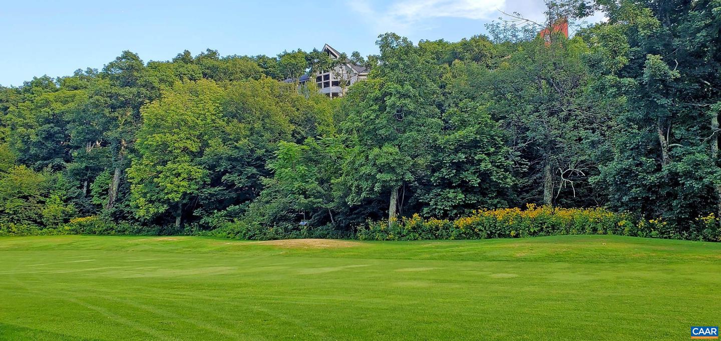 58 SUMMIT LN, WINTERGREEN RESORT, Virginia 22967, 5 Bedrooms Bedrooms, ,4 BathroomsBathrooms,Residential,For sale,58 SUMMIT LN,667052 MLS # 667052