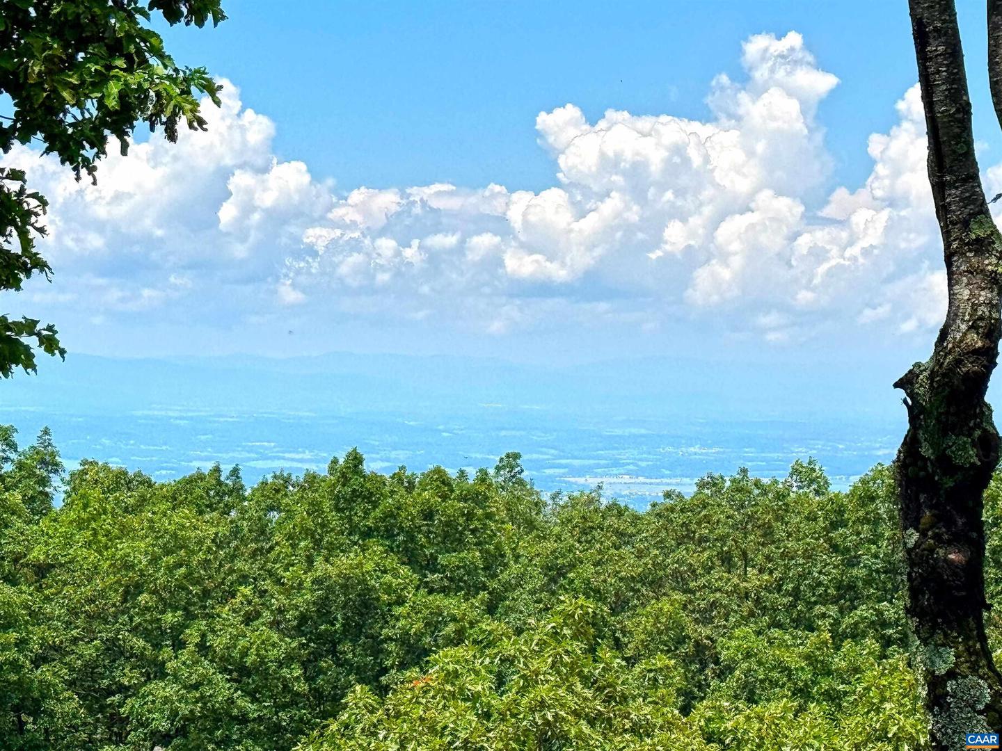58 SUMMIT LN, WINTERGREEN RESORT, Virginia 22967, 5 Bedrooms Bedrooms, ,4 BathroomsBathrooms,Residential,For sale,58 SUMMIT LN,667052 MLS # 667052