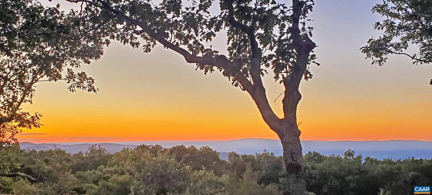 58 SUMMIT LN, WINTERGREEN RESORT, Virginia 22967, 5 Bedrooms Bedrooms, ,4 BathroomsBathrooms,Residential,For sale,58 SUMMIT LN,667052 MLS # 667052