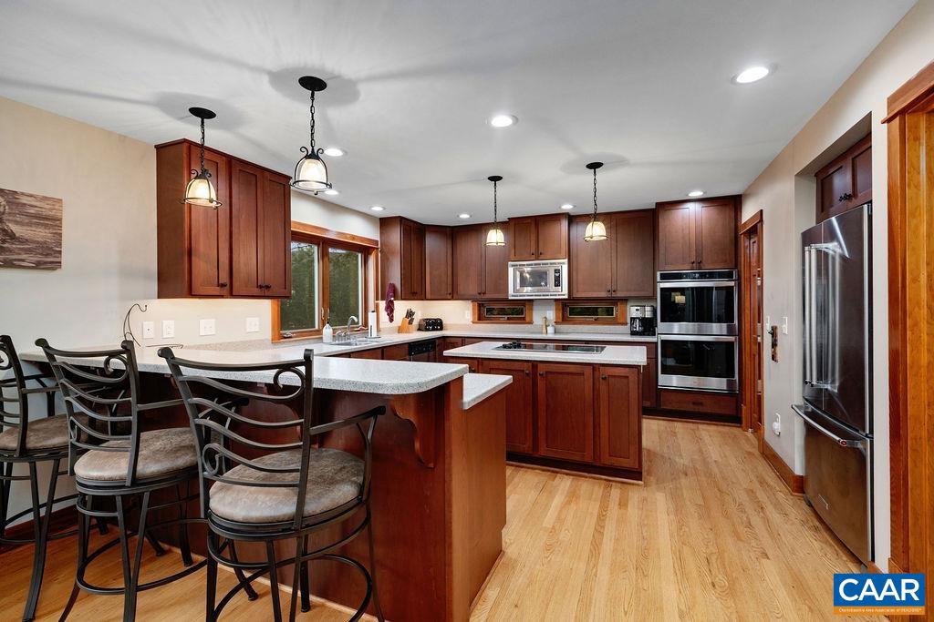 58 SUMMIT LN, WINTERGREEN RESORT, Virginia 22967, 5 Bedrooms Bedrooms, ,4 BathroomsBathrooms,Residential,For sale,58 SUMMIT LN,667052 MLS # 667052