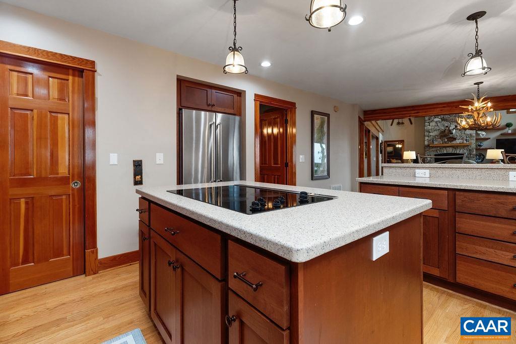 58 SUMMIT LN, WINTERGREEN RESORT, Virginia 22967, 5 Bedrooms Bedrooms, ,4 BathroomsBathrooms,Residential,For sale,58 SUMMIT LN,667052 MLS # 667052
