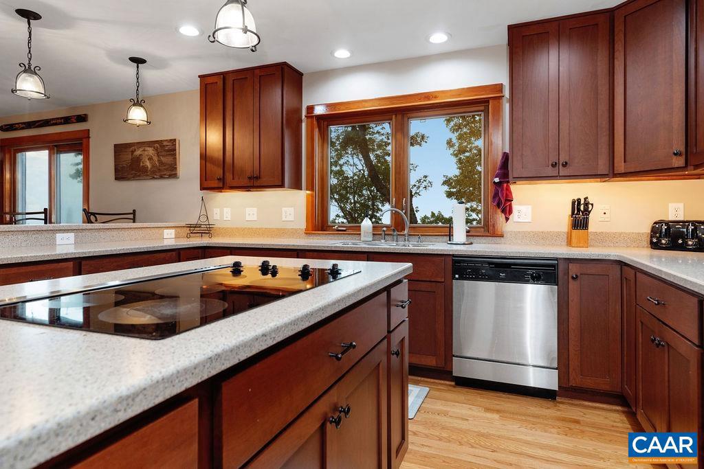 58 SUMMIT LN, WINTERGREEN RESORT, Virginia 22967, 5 Bedrooms Bedrooms, ,4 BathroomsBathrooms,Residential,For sale,58 SUMMIT LN,667052 MLS # 667052