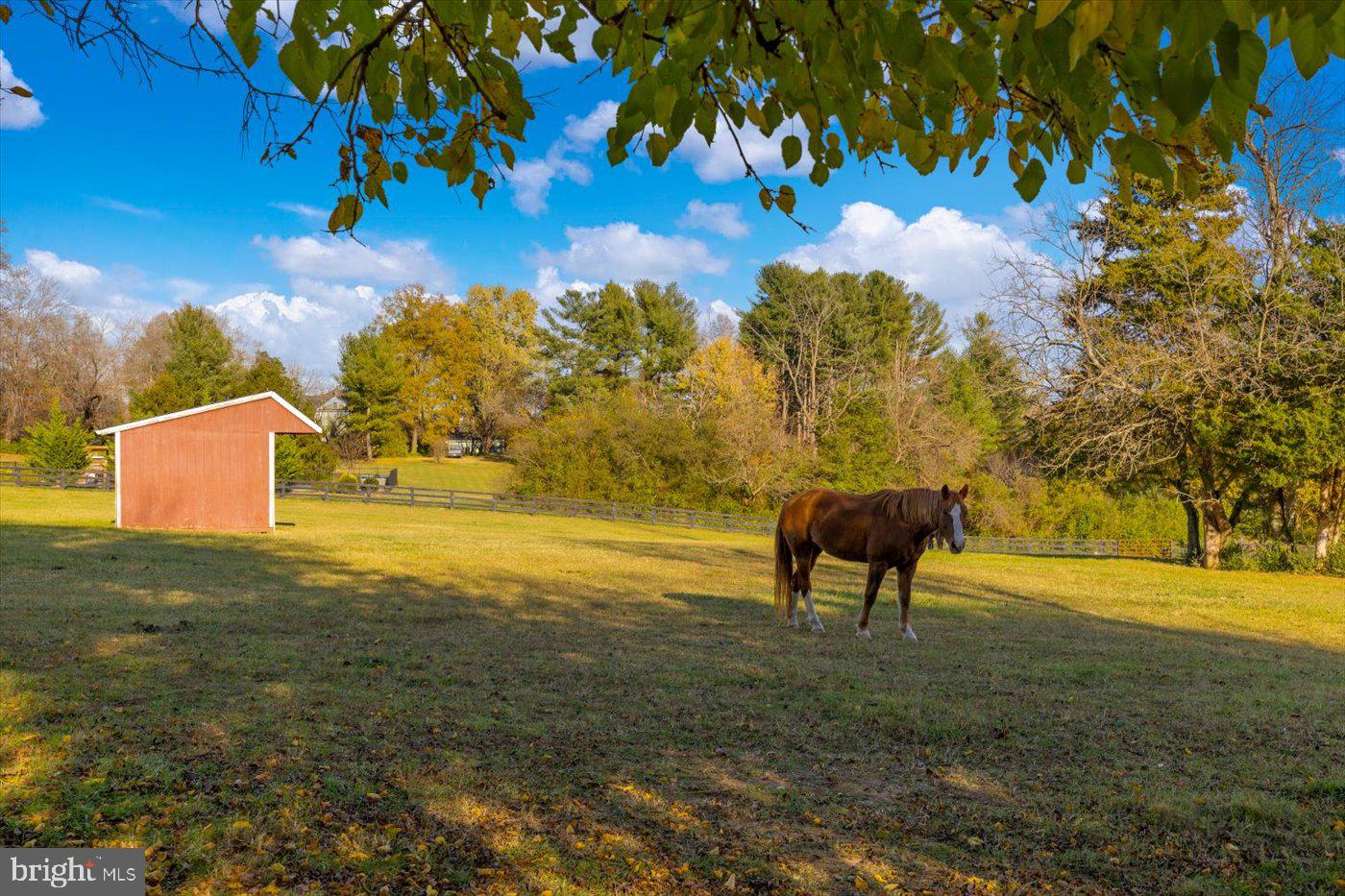 23494 VILLAGE RD, UNIONVILLE, Virginia 22567, 6 Bedrooms Bedrooms, ,4 BathroomsBathrooms,Farm,For sale,23494 VILLAGE RD,VAOR2009842 MLS # VAOR2009842