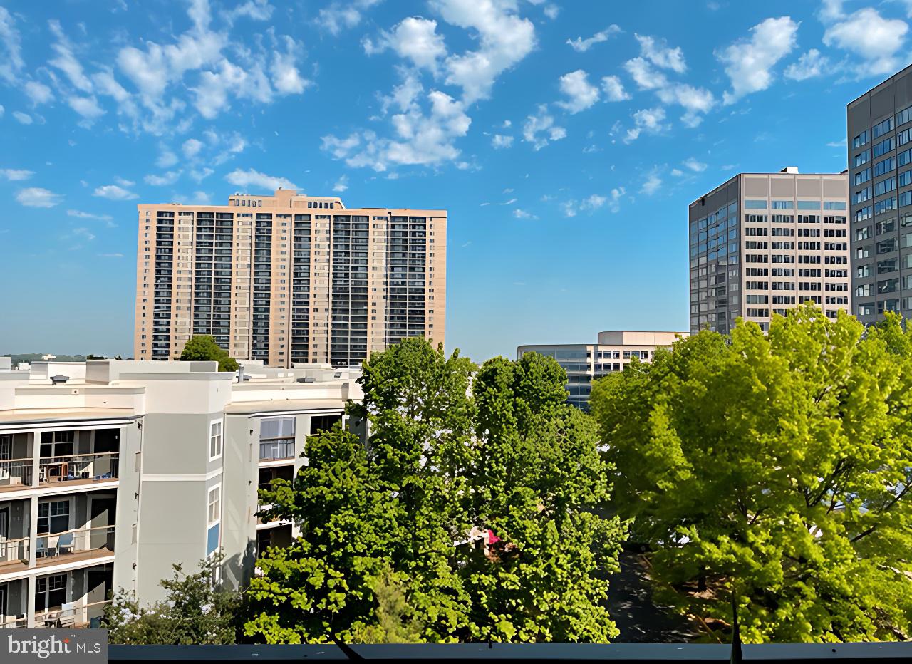 5505 SEMINARY RD #505N, FALLS CHURCH, Virginia 22041, 3 Bedrooms Bedrooms, ,2 BathroomsBathrooms,Residential,For sale,5505 SEMINARY RD #505N,VAFX2238870 MLS # VAFX2238870