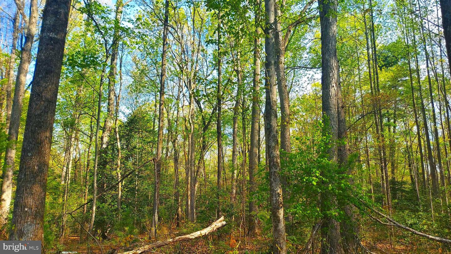 LOT 1045 POPLAR DR, LOUISA, Virginia 23093, ,Land,For sale,LOT 1045 POPLAR DR,VALA2005318 MLS # VALA2005318