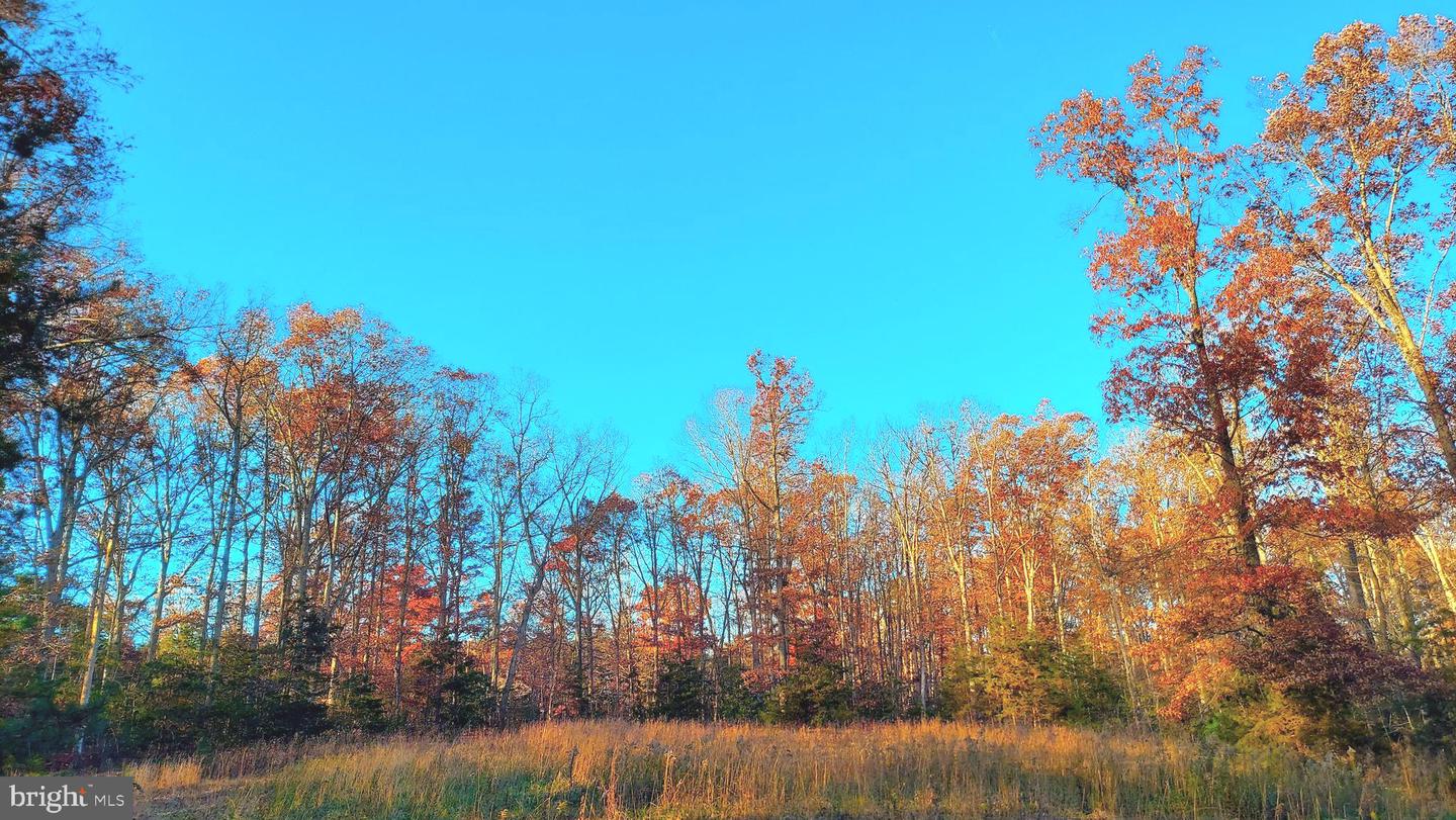 LOT 1045 POPLAR DR, LOUISA, Virginia 23093, ,Land,For sale,LOT 1045 POPLAR DR,VALA2005318 MLS # VALA2005318