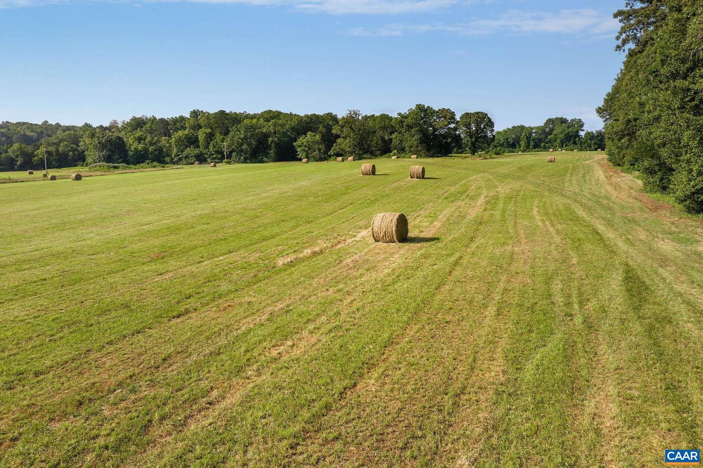 76.99 ACRES COLES ROLLING RD, SCOTTSVILLE, Virginia 24590, ,Farm,For sale,76.99 ACRES COLES ROLLING RD,666864 MLS # 666864