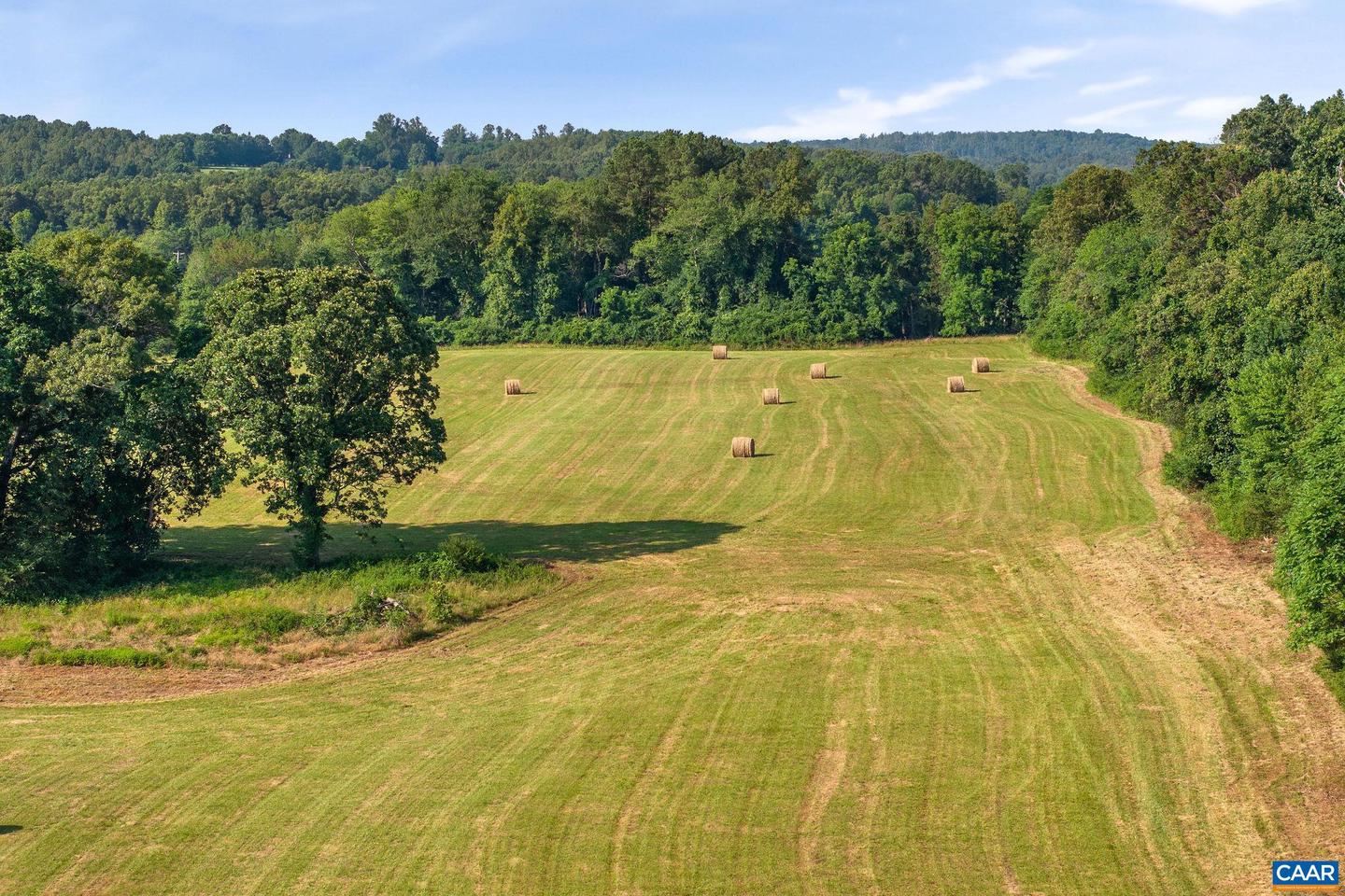 76.99 ACRES COLES ROLLING RD, SCOTTSVILLE, Virginia 24590, ,Farm,For sale,76.99 ACRES COLES ROLLING RD,666864 MLS # 666864