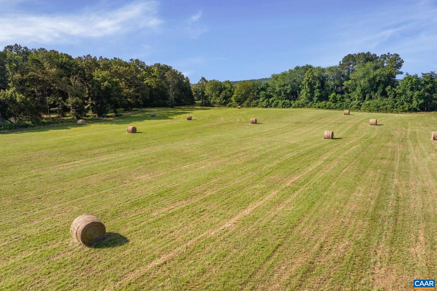 76.99 ACRES COLES ROLLING RD, SCOTTSVILLE, Virginia 24590, ,Farm,For sale,76.99 ACRES COLES ROLLING RD,666864 MLS # 666864
