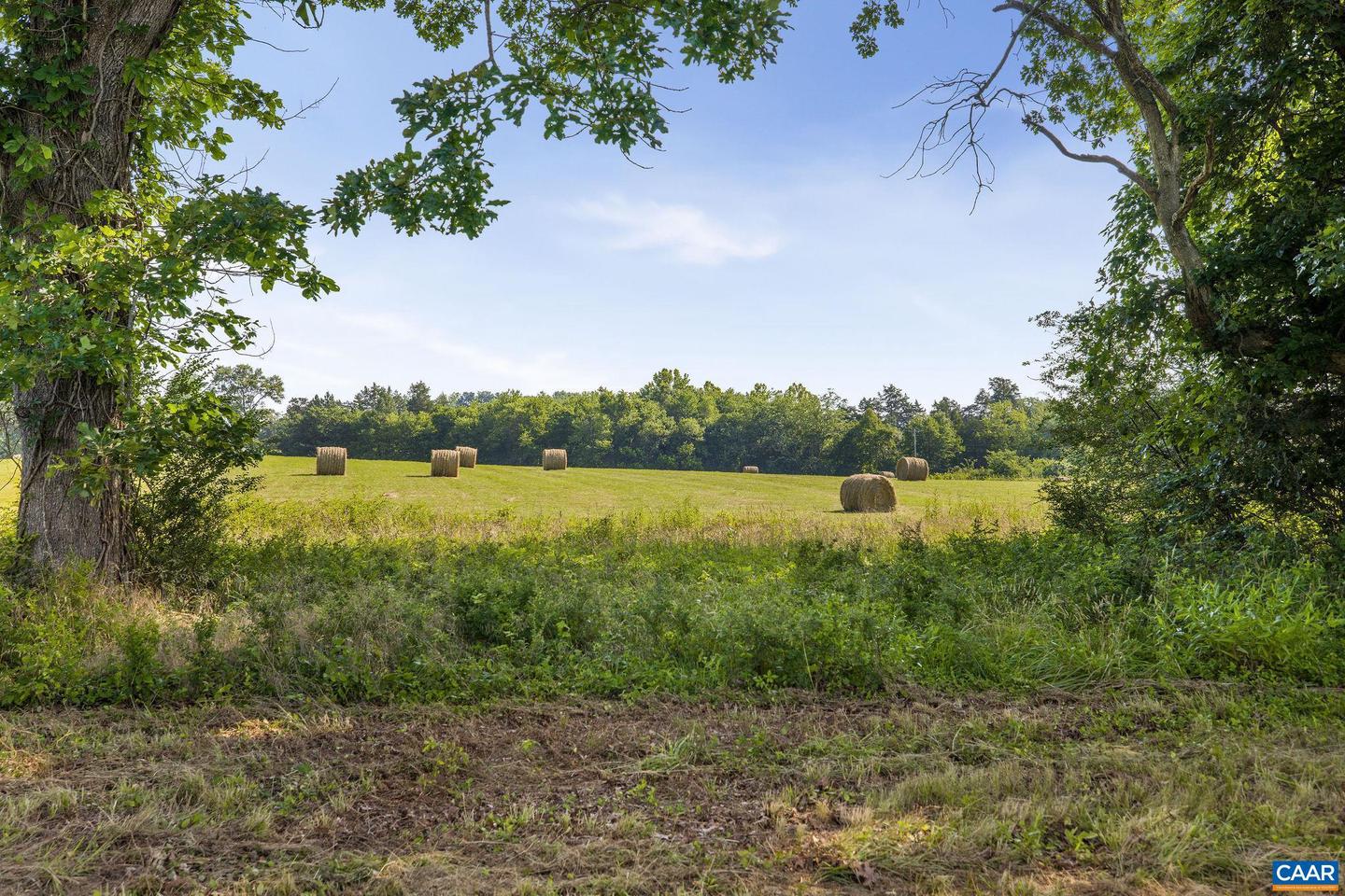 76.99 ACRES COLES ROLLING RD, SCOTTSVILLE, Virginia 24590, ,Farm,For sale,76.99 ACRES COLES ROLLING RD,666864 MLS # 666864