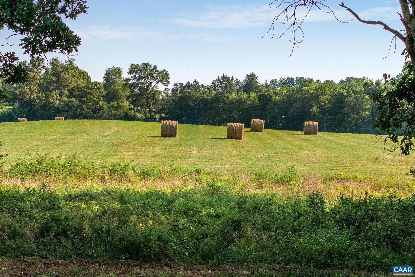 76.99 ACRES COLES ROLLING RD, SCOTTSVILLE, Virginia 24590, ,Farm,For sale,76.99 ACRES COLES ROLLING RD,666864 MLS # 666864