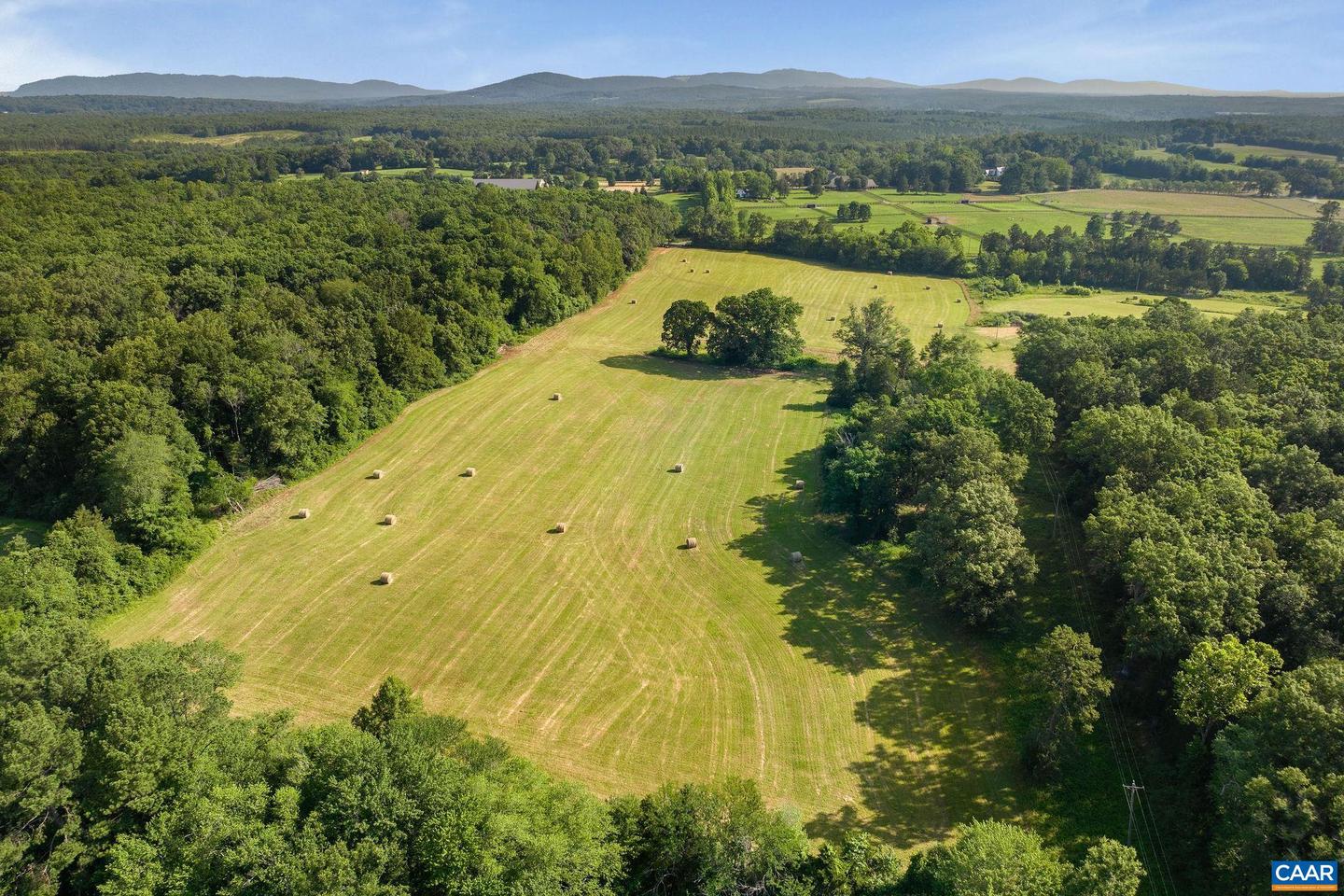 76.99 ACRES COLES ROLLING RD, SCOTTSVILLE, Virginia 24590, ,Farm,For sale,76.99 ACRES COLES ROLLING RD,666864 MLS # 666864