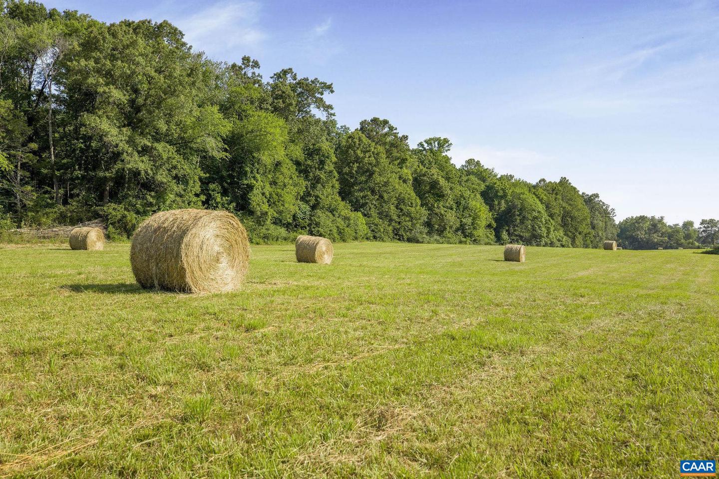 76.99 ACRES COLES ROLLING RD, SCOTTSVILLE, Virginia 24590, ,Farm,For sale,76.99 ACRES COLES ROLLING RD,666864 MLS # 666864