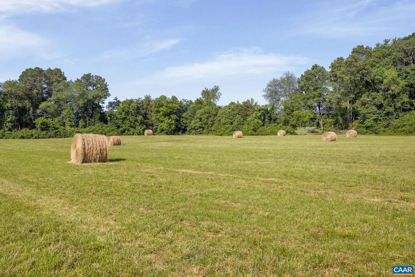 76.99 ACRES COLES ROLLING RD, SCOTTSVILLE, Virginia 24590, ,Farm,For sale,76.99 ACRES COLES ROLLING RD,666864 MLS # 666864