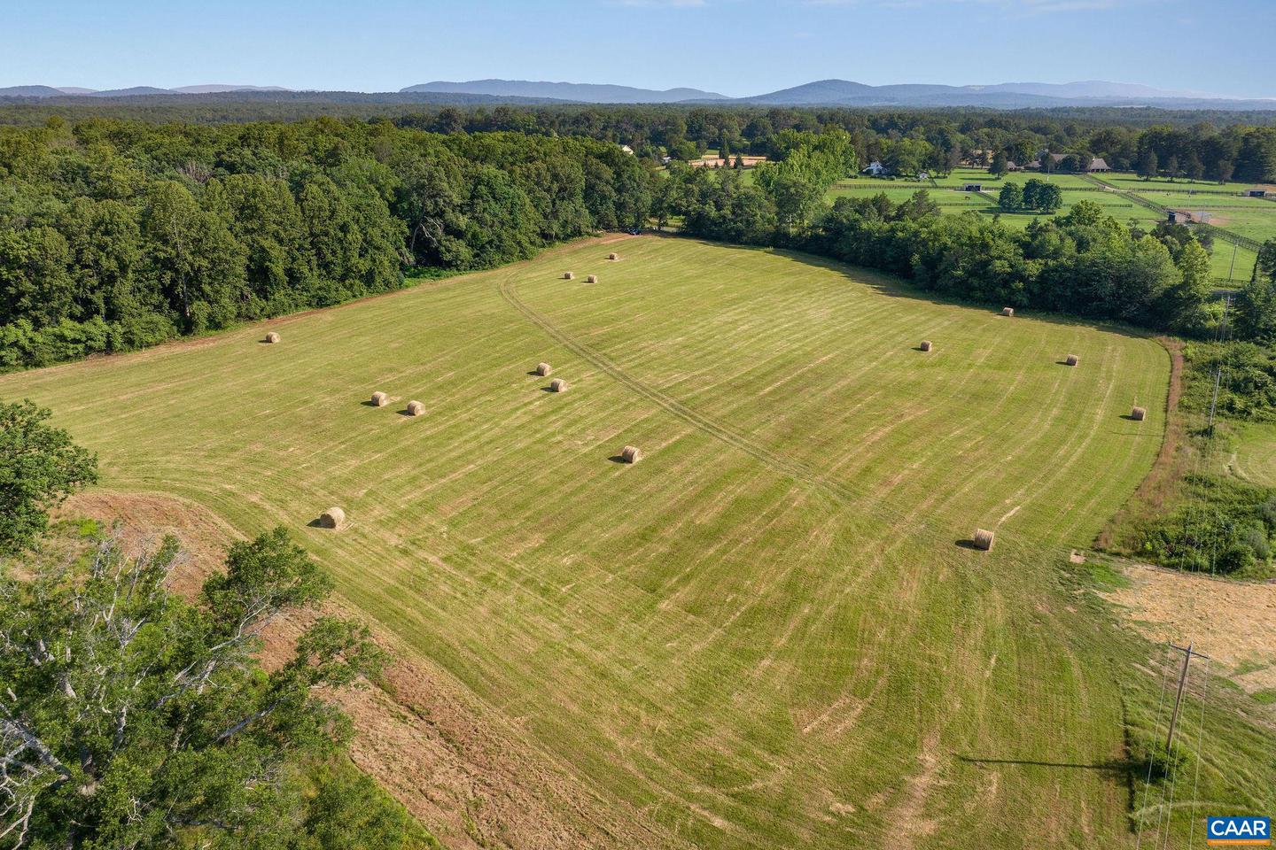 76.99 ACRES COLES ROLLING RD, SCOTTSVILLE, Virginia 24590, ,Farm,For sale,76.99 ACRES COLES ROLLING RD,666864 MLS # 666864