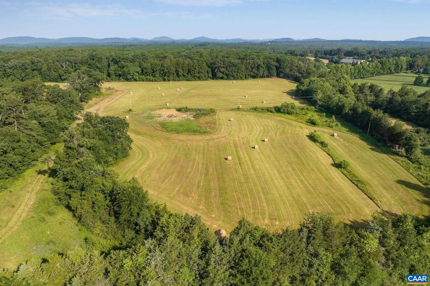 76.99 ACRES COLES ROLLING RD, SCOTTSVILLE, Virginia 24590, ,Farm,For sale,76.99 ACRES COLES ROLLING RD,666864 MLS # 666864