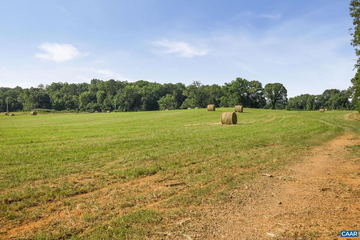 76.99 ACRES COLES ROLLING RD, SCOTTSVILLE, Virginia 24590, ,Farm,For sale,76.99 ACRES COLES ROLLING RD,666864 MLS # 666864