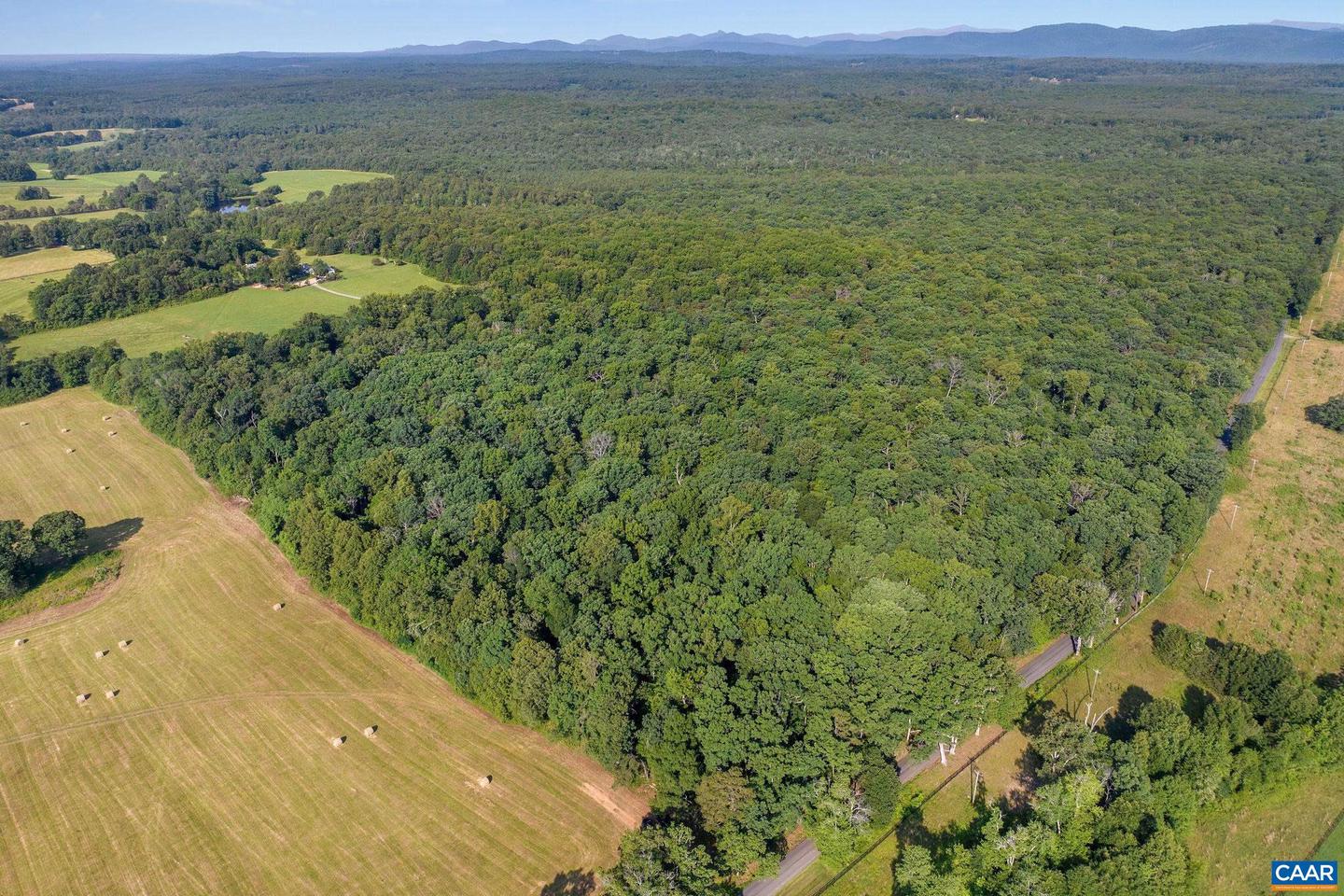 76.99 ACRES COLES ROLLING RD, SCOTTSVILLE, Virginia 24590, ,Farm,For sale,76.99 ACRES COLES ROLLING RD,666864 MLS # 666864