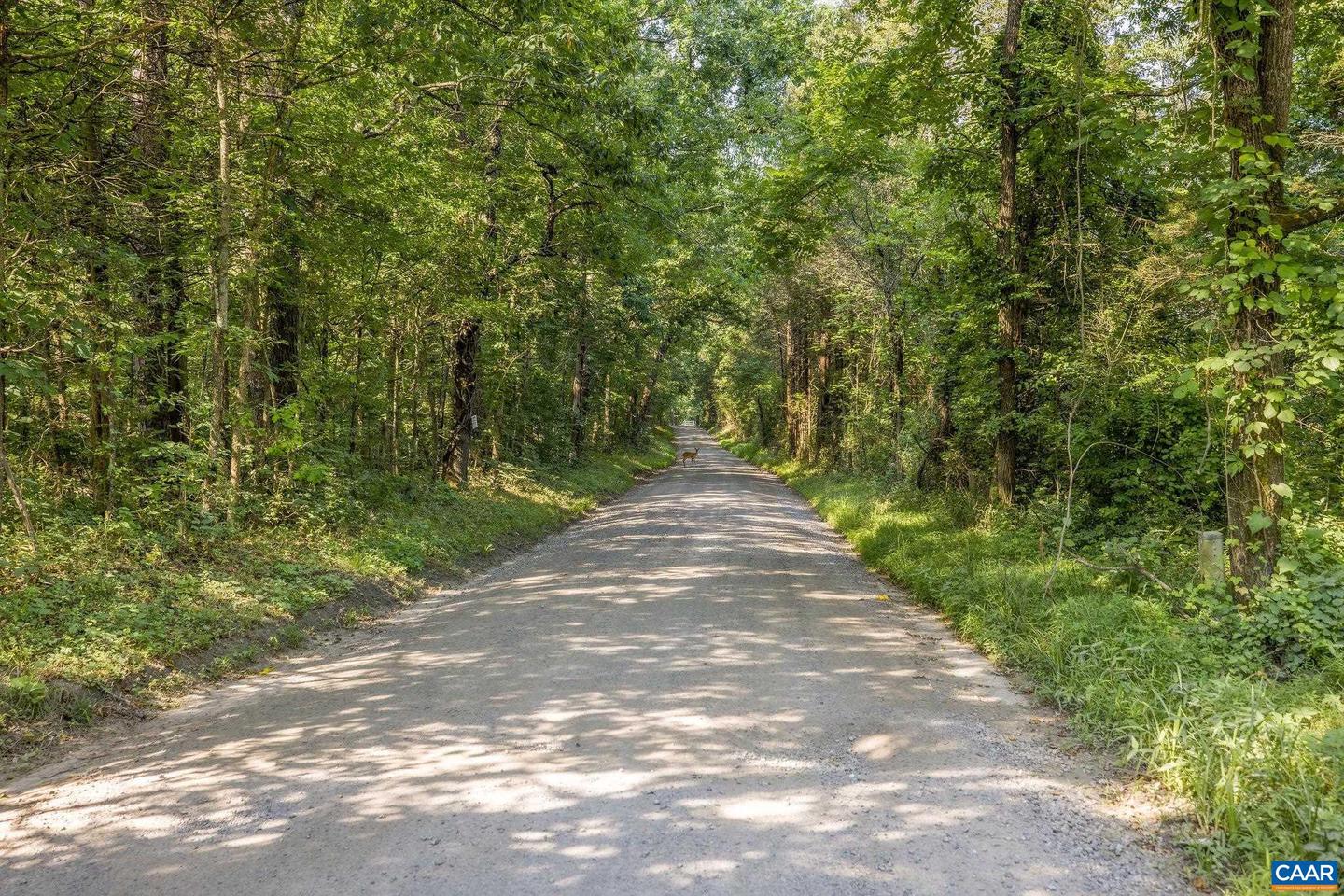 76.99 ACRES COLES ROLLING RD, SCOTTSVILLE, Virginia 24590, ,Farm,For sale,76.99 ACRES COLES ROLLING RD,666864 MLS # 666864