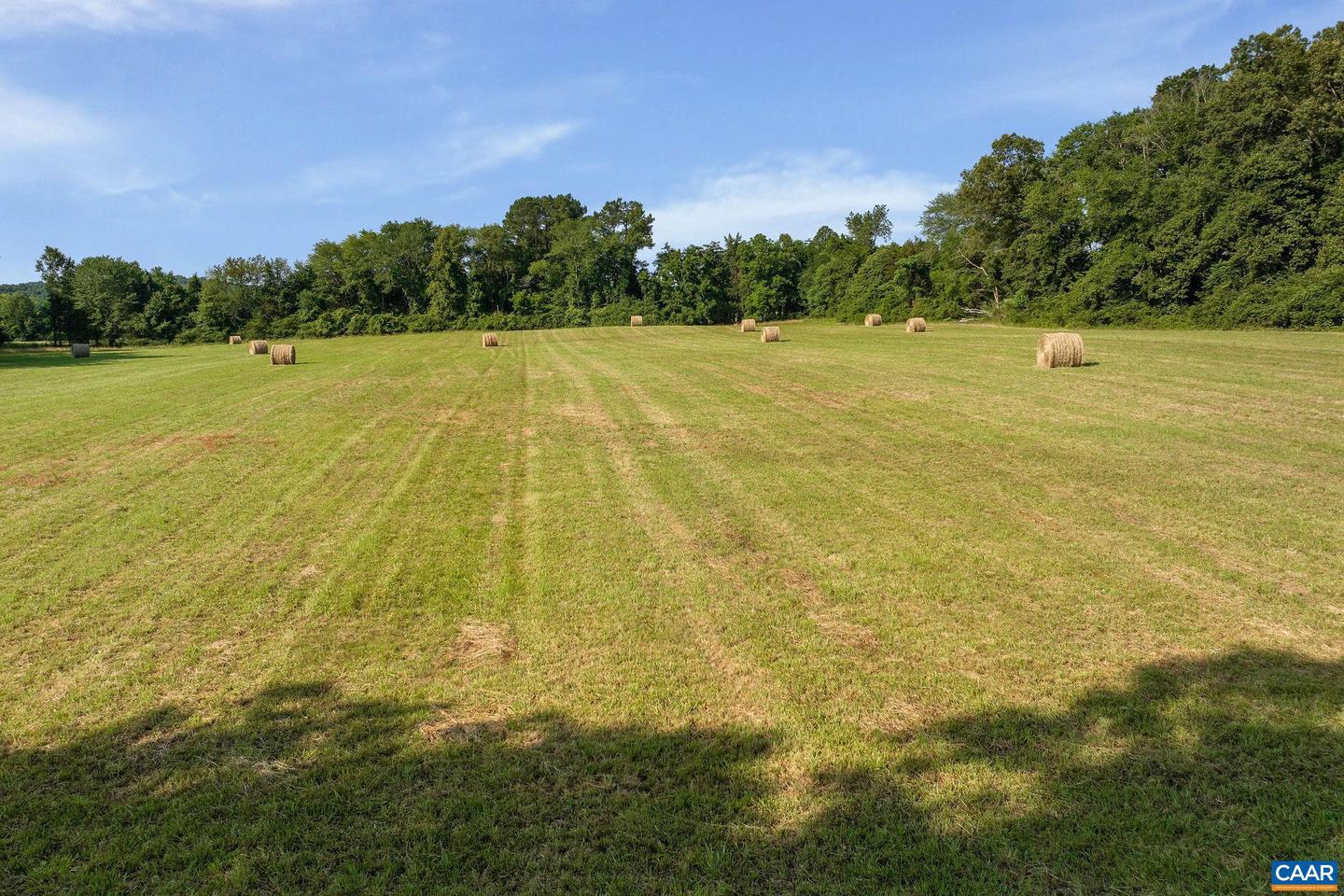 76.99 ACRES COLES ROLLING RD, SCOTTSVILLE, Virginia 24590, ,Farm,For sale,76.99 ACRES COLES ROLLING RD,666864 MLS # 666864