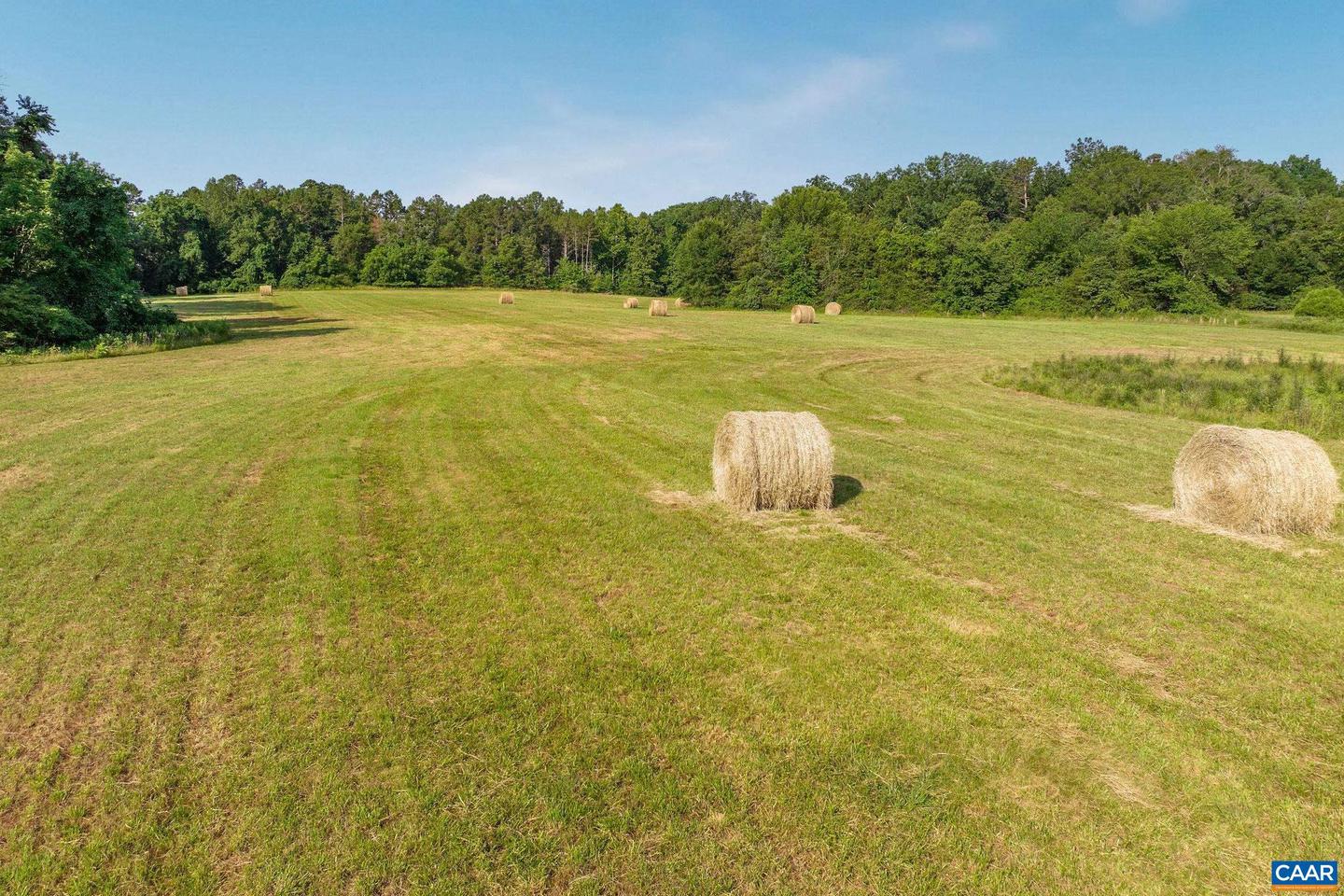 76.99 ACRES COLES ROLLING RD, SCOTTSVILLE, Virginia 24590, ,Farm,For sale,76.99 ACRES COLES ROLLING RD,666864 MLS # 666864