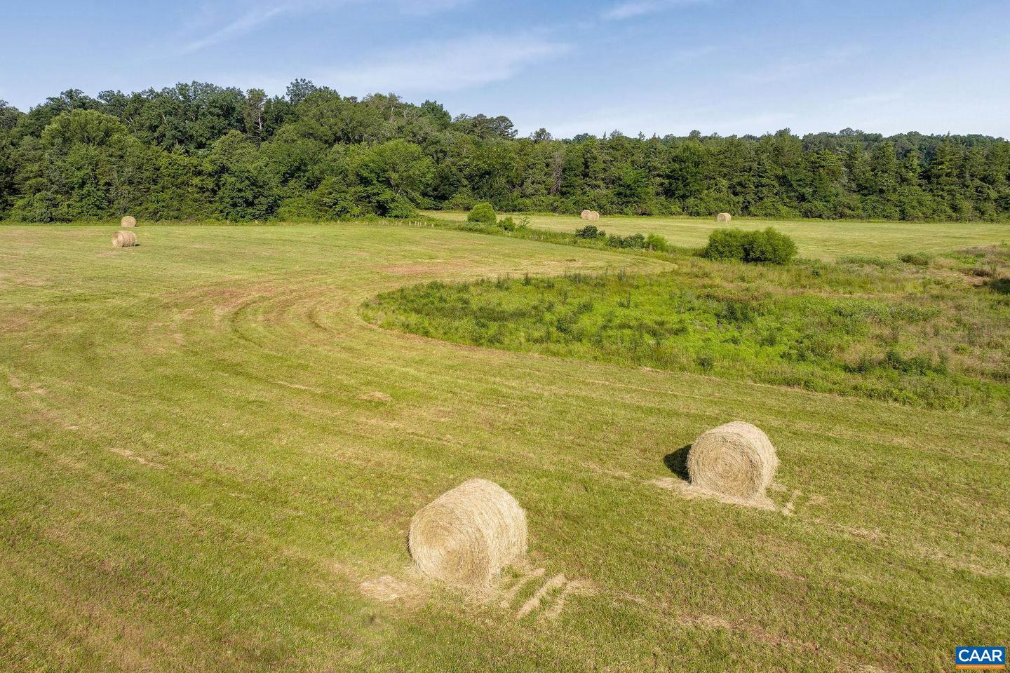 76.99 ACRES COLES ROLLING RD, SCOTTSVILLE, Virginia 24590, ,Farm,For sale,76.99 ACRES COLES ROLLING RD,666864 MLS # 666864