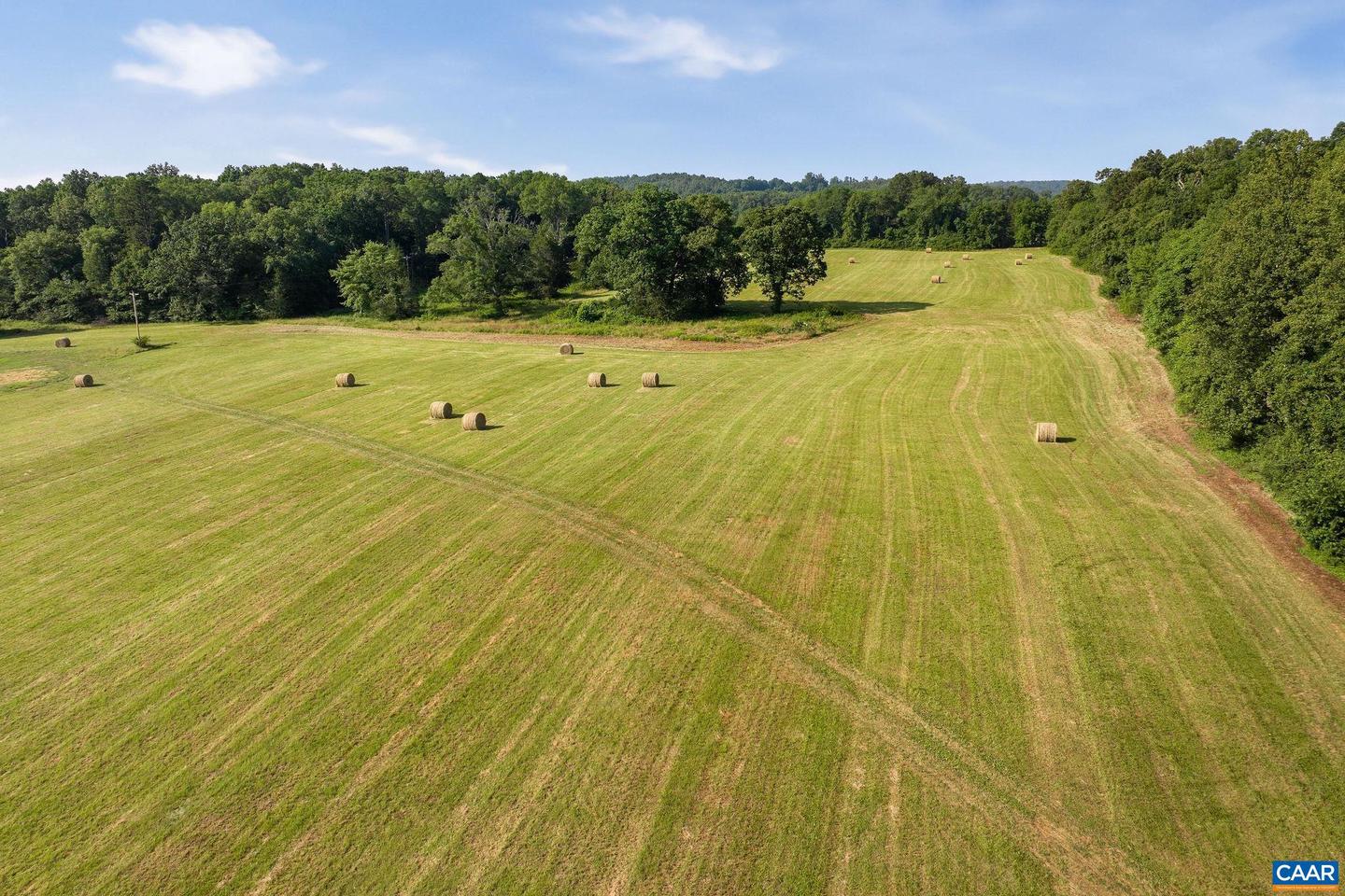 76.99 ACRES COLES ROLLING RD, SCOTTSVILLE, Virginia 24590, ,Farm,For sale,76.99 ACRES COLES ROLLING RD,666864 MLS # 666864