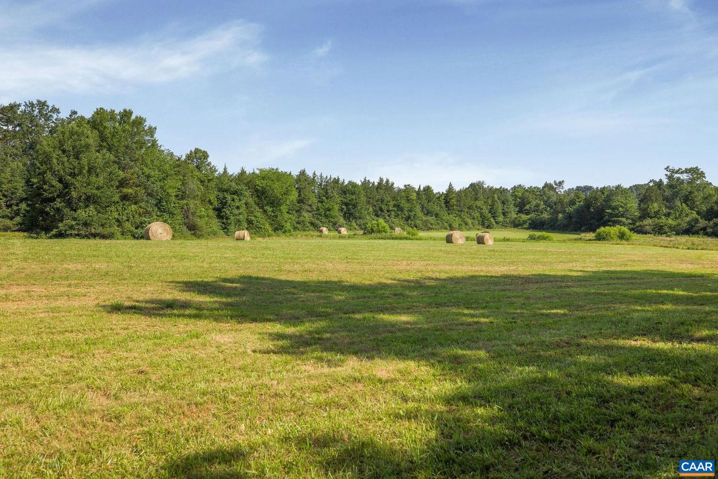76.99 ACRES COLES ROLLING RD, SCOTTSVILLE, Virginia 24590, ,Farm,For sale,76.99 ACRES COLES ROLLING RD,666864 MLS # 666864