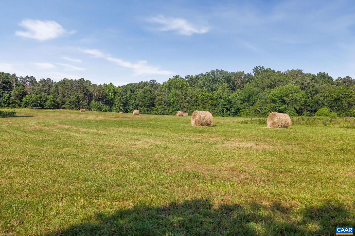 76.99 ACRES COLES ROLLING RD, SCOTTSVILLE, Virginia 24590, ,Farm,For sale,76.99 ACRES COLES ROLLING RD,666864 MLS # 666864