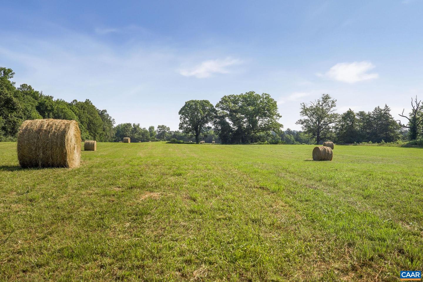 76.99 ACRES COLES ROLLING RD, SCOTTSVILLE, Virginia 24590, ,Farm,For sale,76.99 ACRES COLES ROLLING RD,666864 MLS # 666864